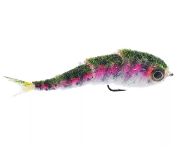 									Game Changer Chocklett Rainbow
															