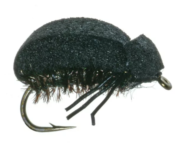 				  Foam Beetle Lawson Blk
			  			  