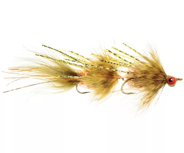 									Circus Peanut Olv
															