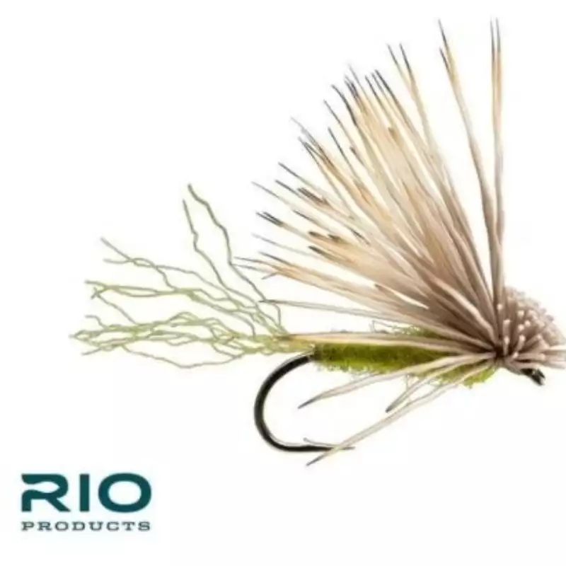 											Fly fish Montana's Caddis hatch early season on the Madison River.
																						