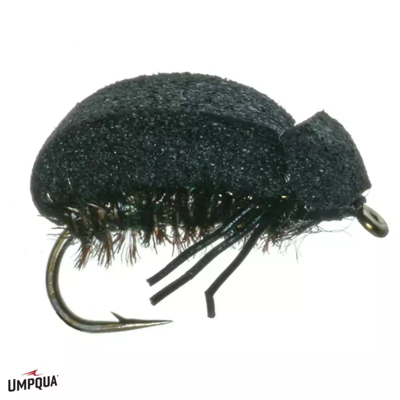 											Foam Beetle Lawson Blk
																						