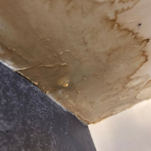 Repiping & Water Line Repair for Durable Performance