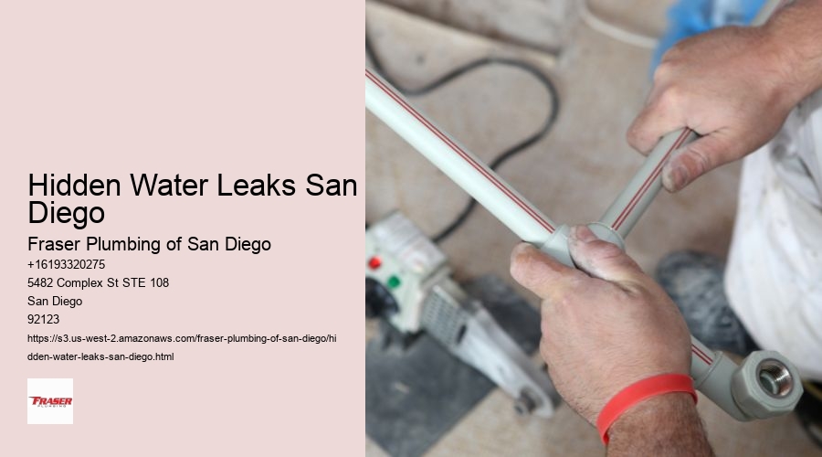 Hidden Water Leaks San Diego