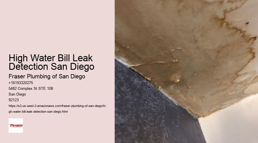 High Water Bill Leak Detection San Diego