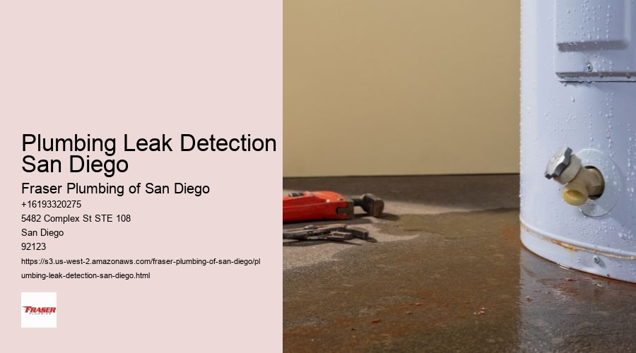 Plumbing Leak Detection San Diego