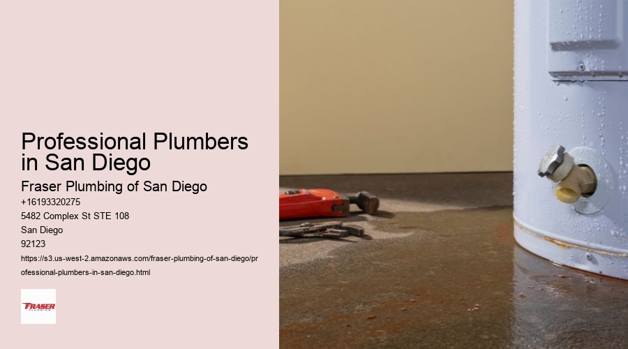 Professional Plumbers in San Diego