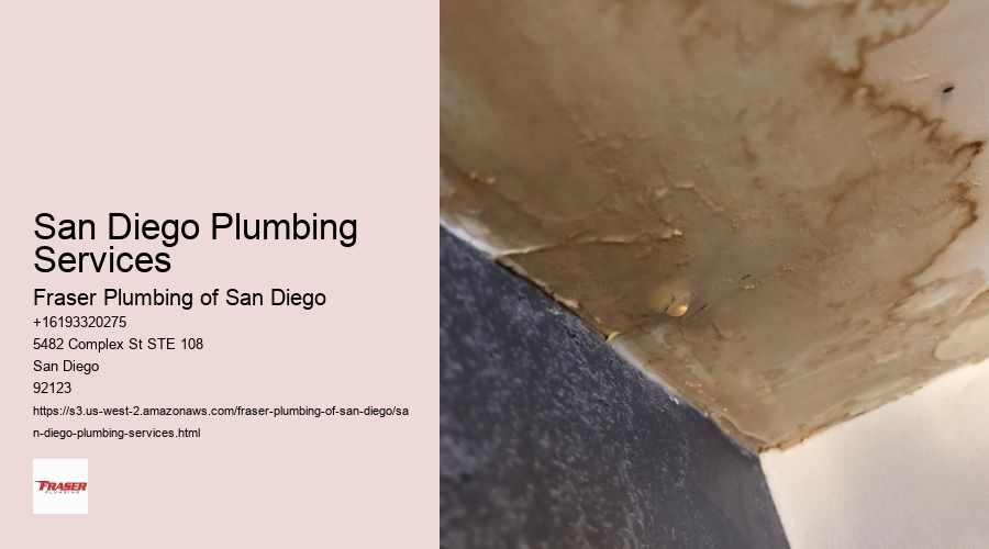 San Diego Plumbing Services