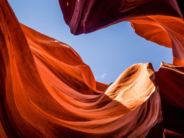 Year Of The Wood Snake 2025 Min : Feng Shui for Modern Living