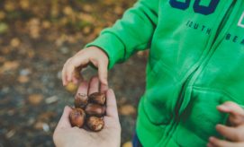 A hand holds several acorns while a child in a green jacket reaches towards them; the background shows a blurred outdoor setting.