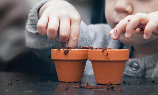 Child places soil in two small terracotta pots on a dark surface, suggesting gardening activity. The background is blurred and focuses on the child's hands and pots.