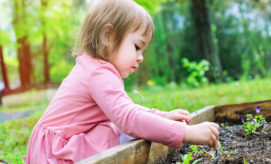 A young child, wearing a pink dress, tends to small plants in a wooden garden bed. The scene is set in a lush, green outdoor environment.