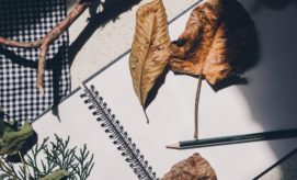 A spiral notebook lies open under sunlight, surrounded by autumn leaves and a pencil. Nearby, a piece of checkered fabric and twigs create a natural, rustic setting.