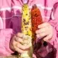 Young girl holds colorful ears of corn.