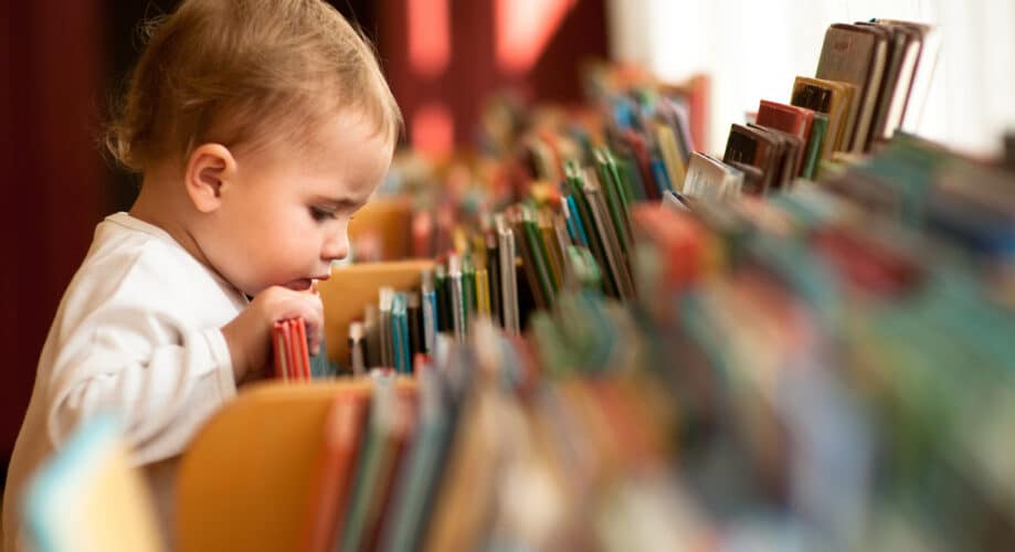 Toddler child peering into a display of children’s books, searching for a story to read.