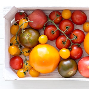 Variety of kinds of tomato in a box on a white wooden background