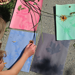 Multi-colored construction paper showing leaf and flower imprints from a simple sun printing process