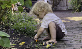 A toddler boy plays with toy cars and trucks outdoors.