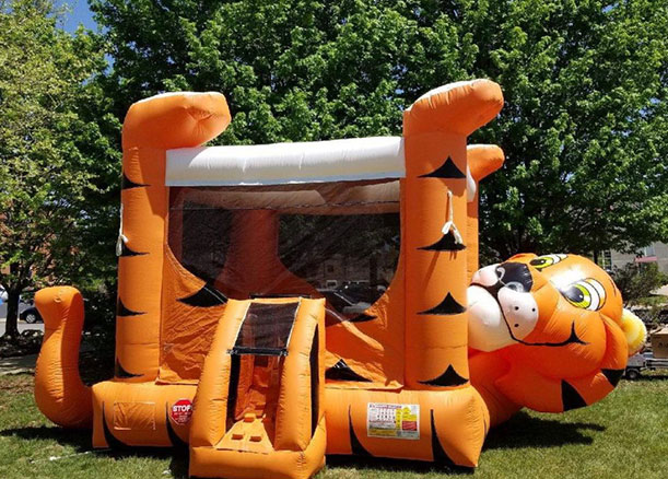 Bounce House Rental Worth IL