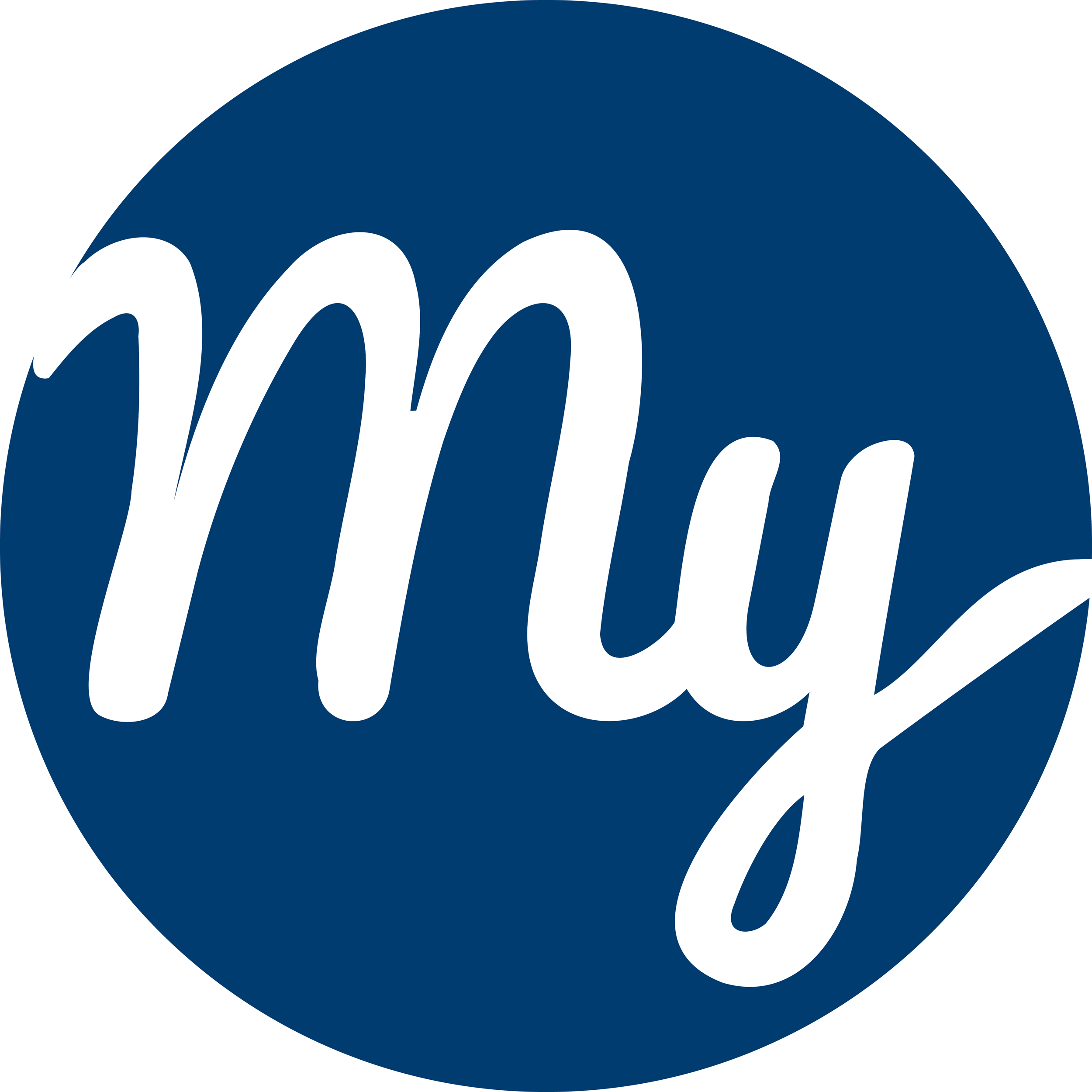 company logo