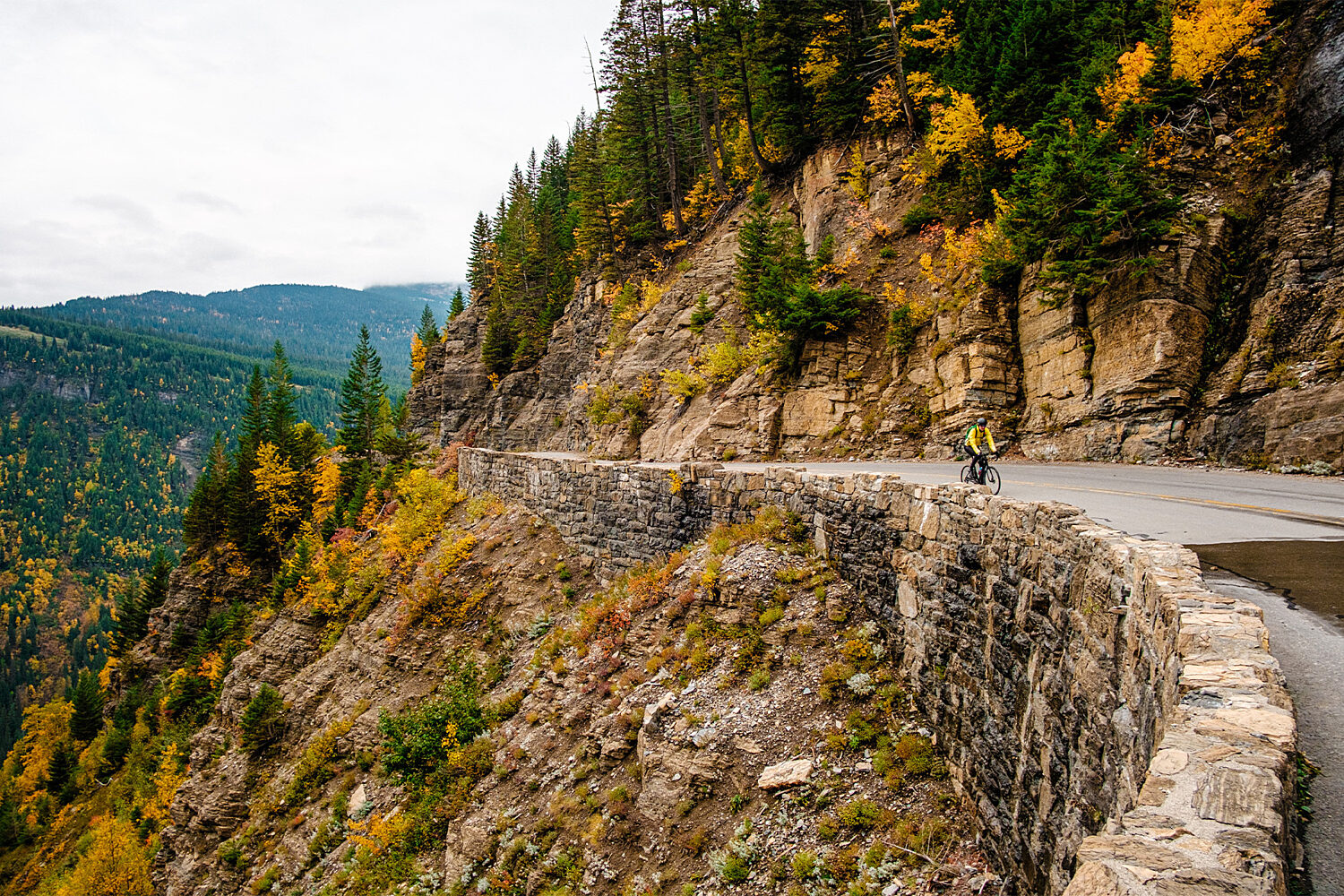  
											 Man biking on a Montana road in the fall
										  										 