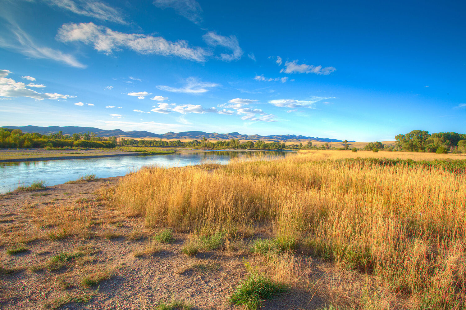 CVB best lunch spots blog3