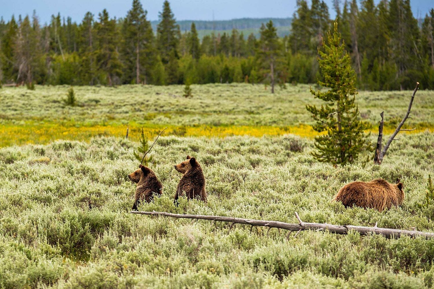 HA Lets go adventure blog2