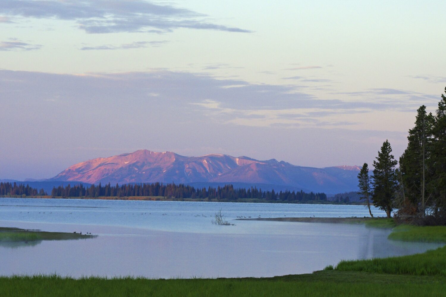 HA Yellowstone 1 c