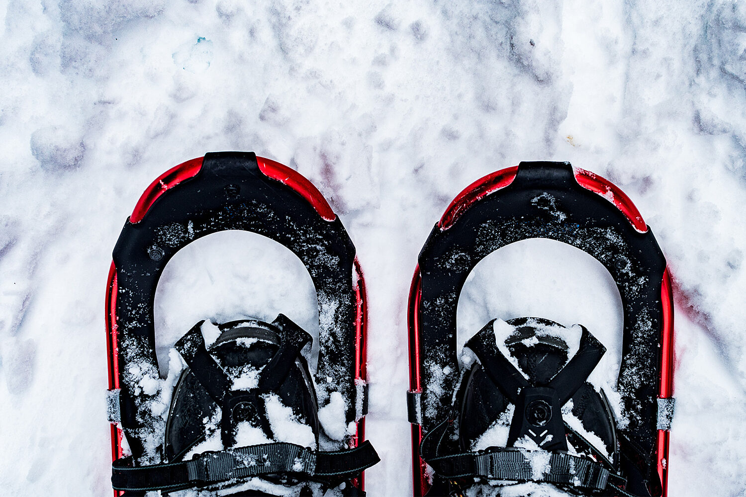 SN Spots to Snowshoe Around Butte 1