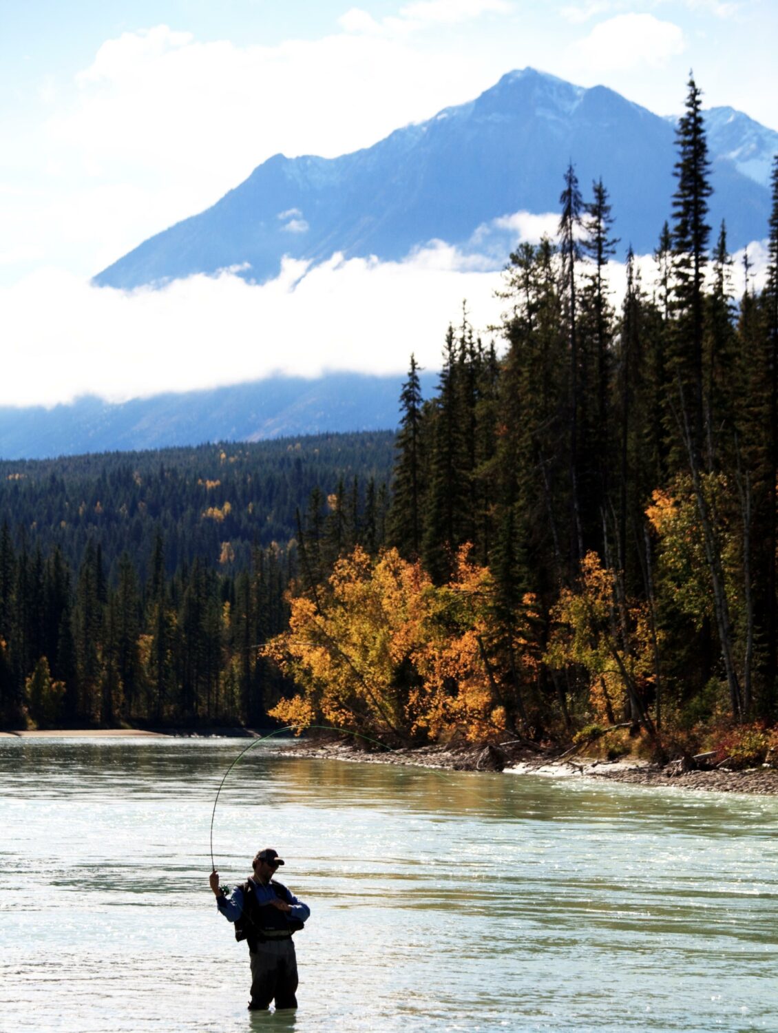 I Stock 1220837744 c