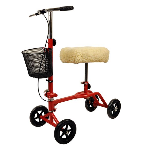 Knee Walker Rental Eva AL