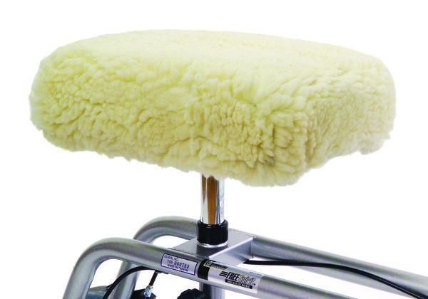 Knee Walker Rental Intercession City FL