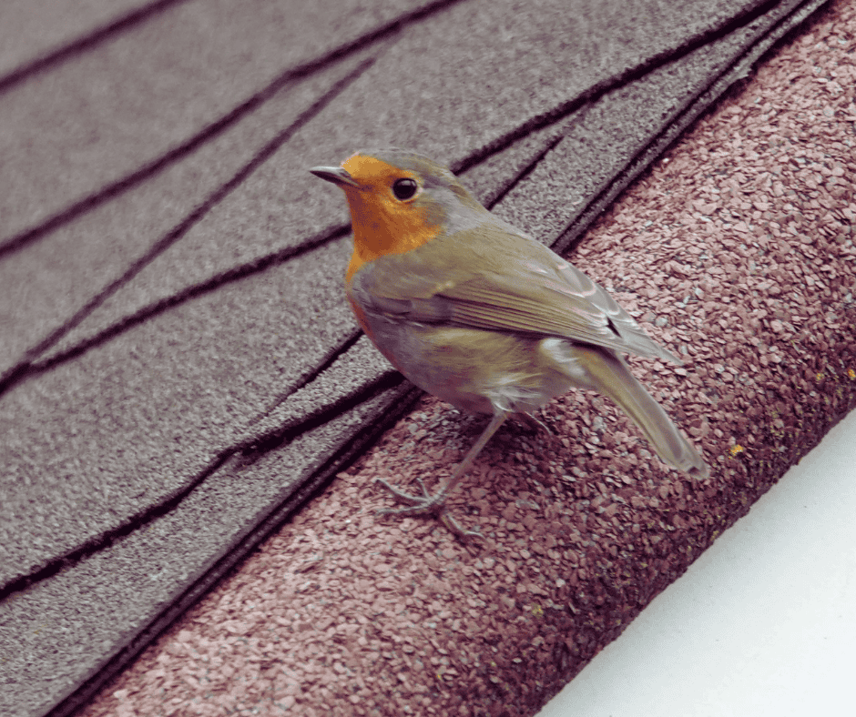 What Estacada Homeowners Should Know Before Hiring a Roofer