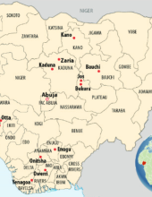 nigeria materials survey.png
