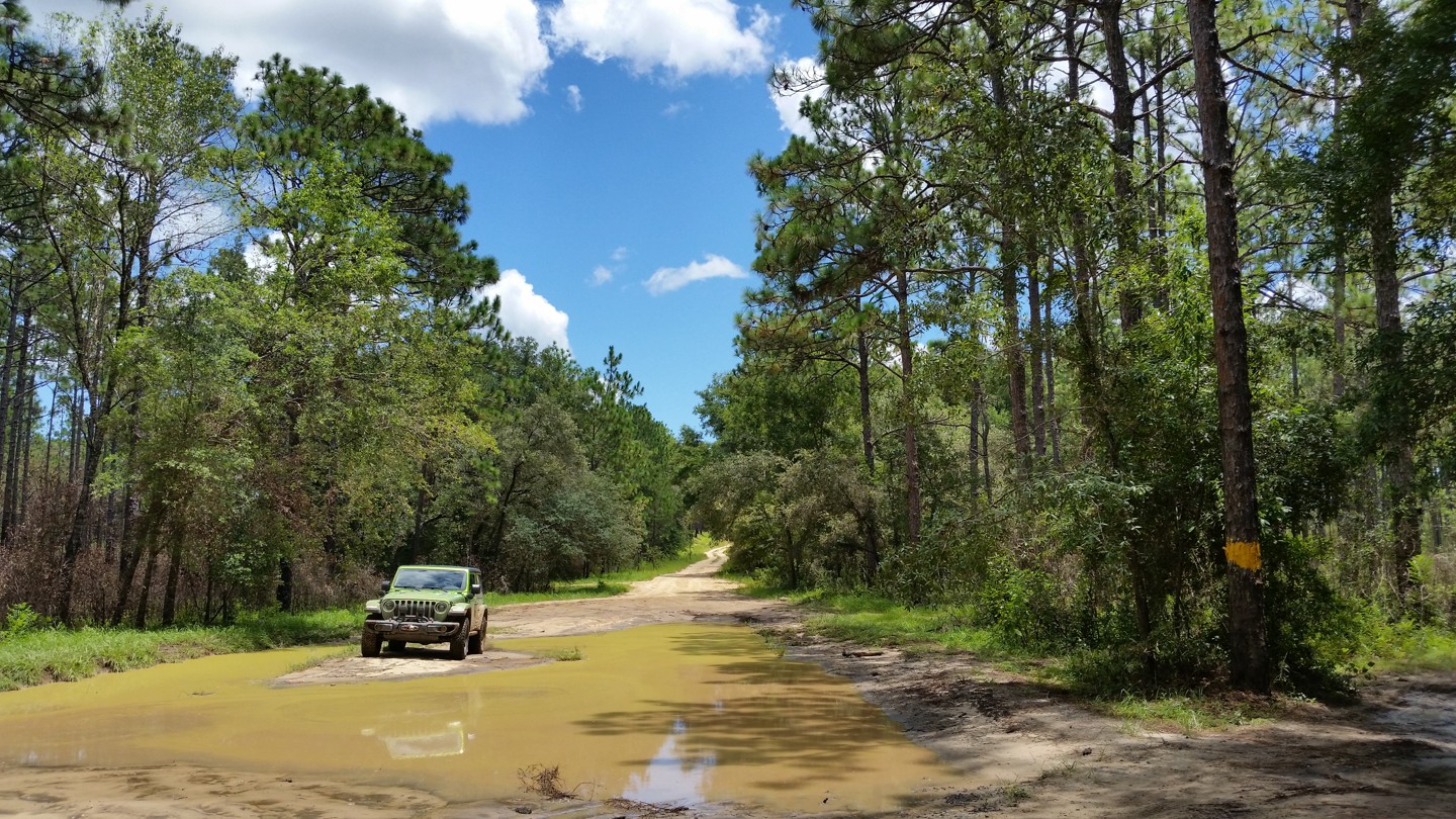 Offroad Trails In Florida