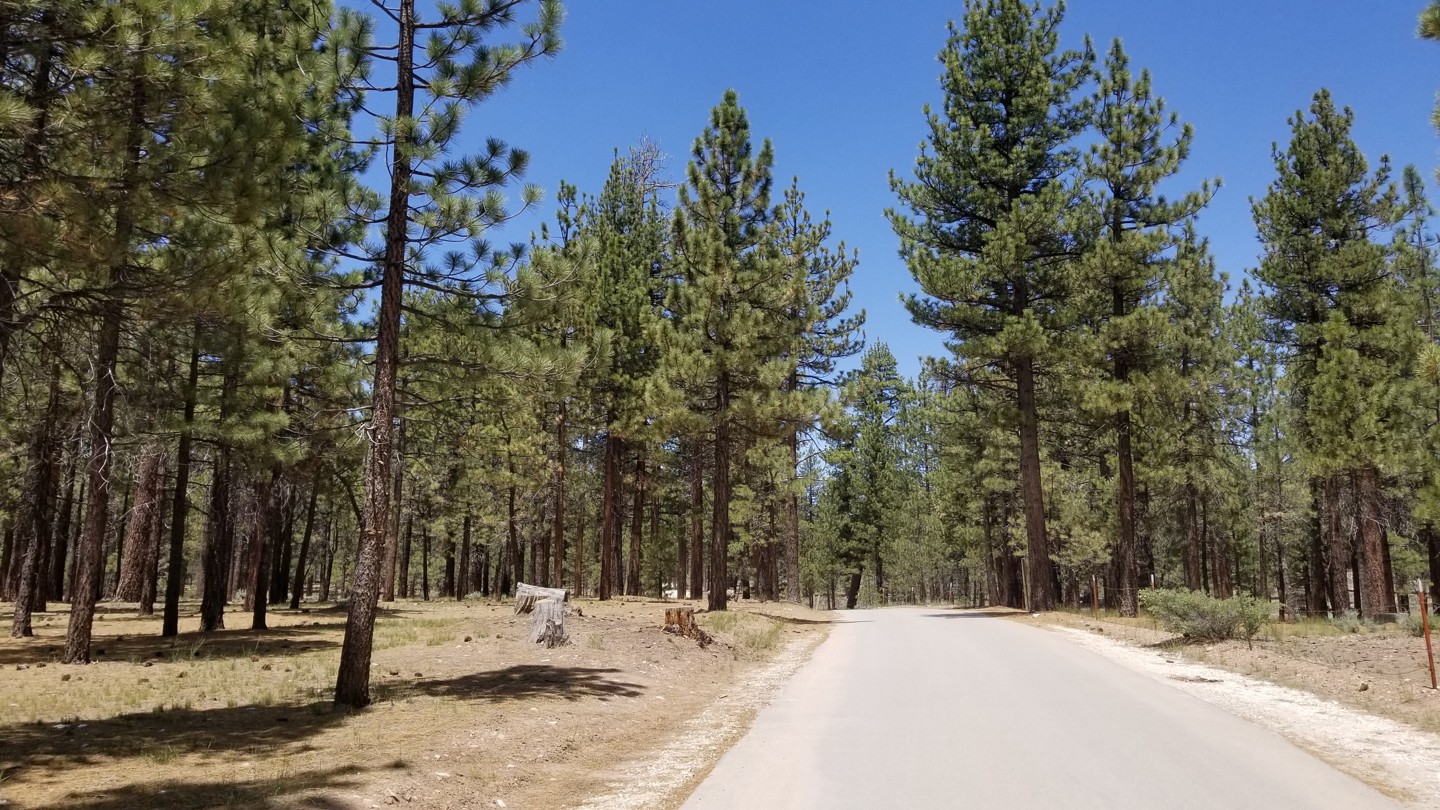 3N16 Valley California Offroad Trail