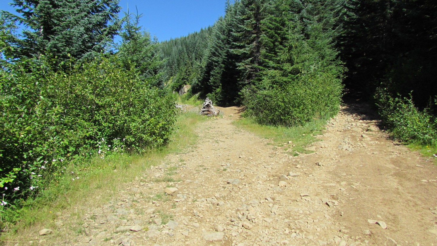 Evans Creek / Trail 519 Washington Offroad Trail