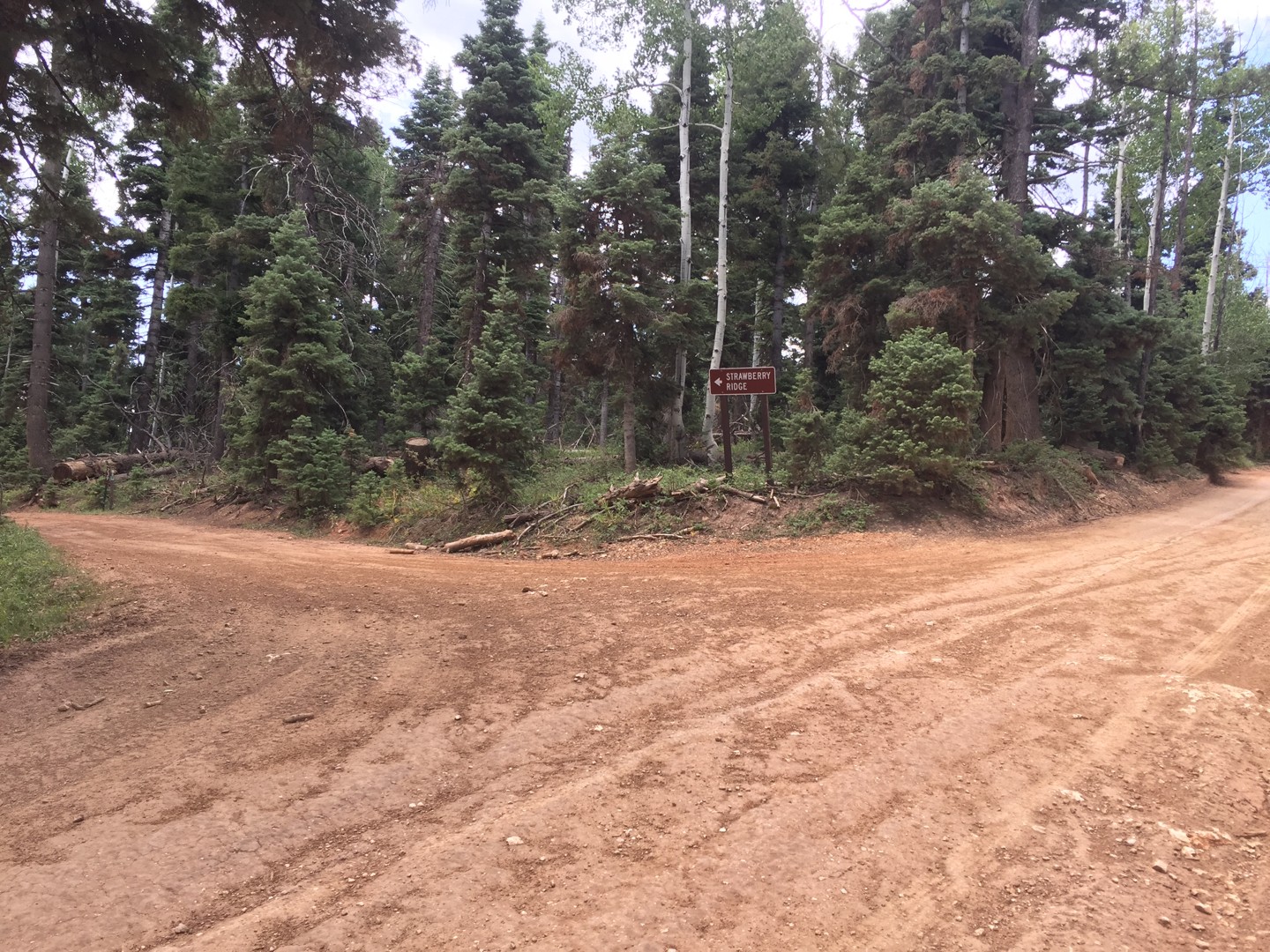 Strawberry Point Utah Offroad Trail