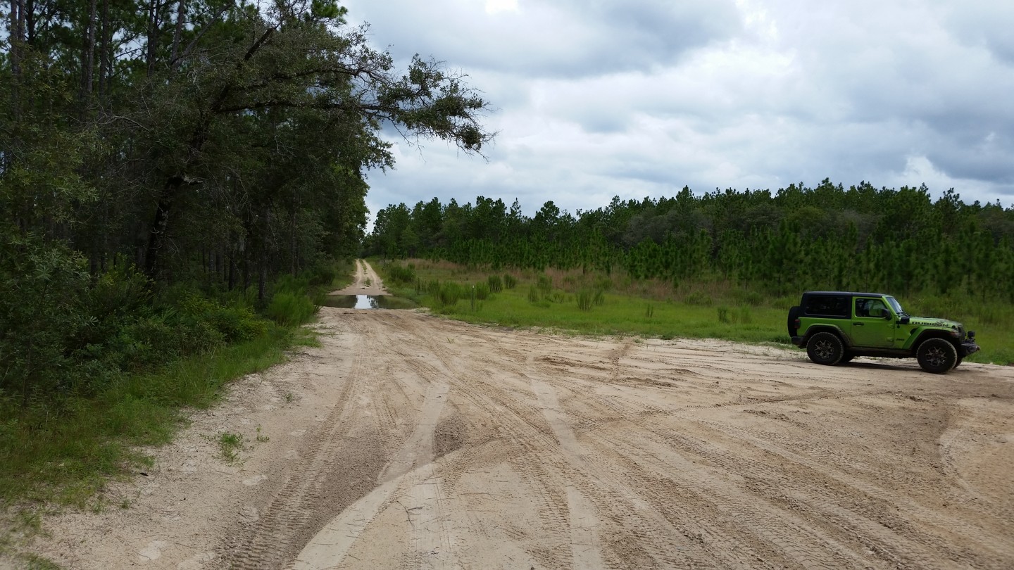 Offroad Trails In Florida