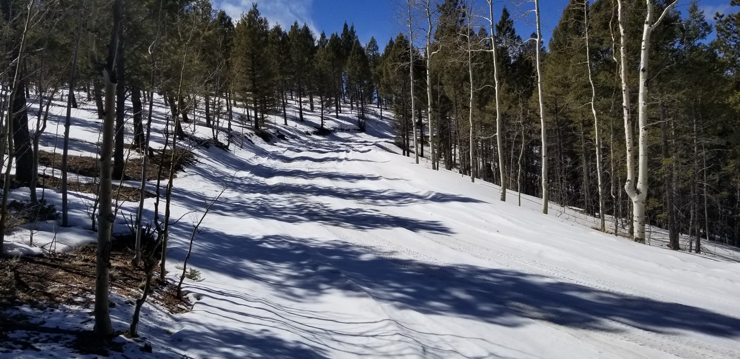 Mount Herman Road Colorado Offroad Trail