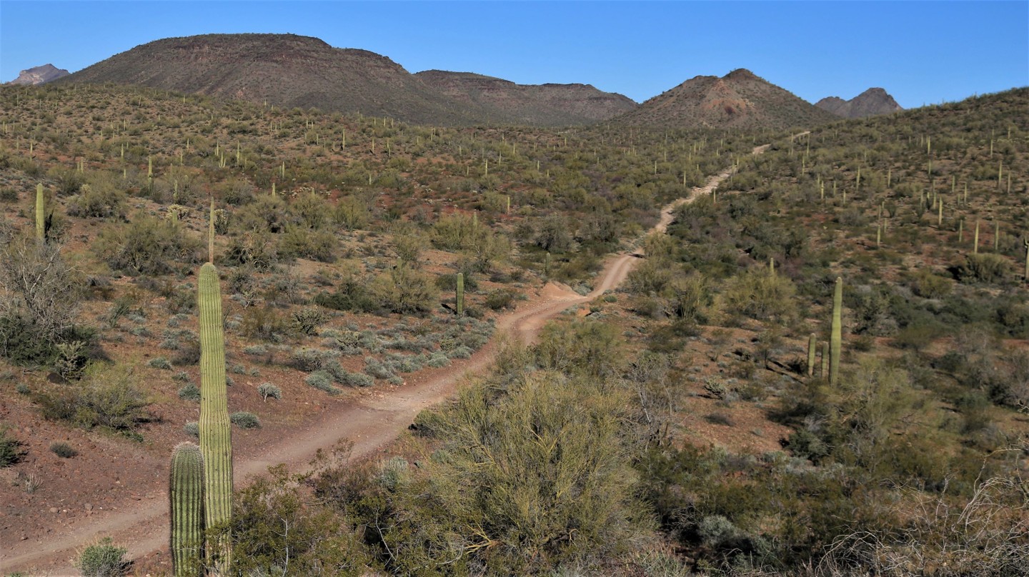 Highlight: Kofa Manganese Road