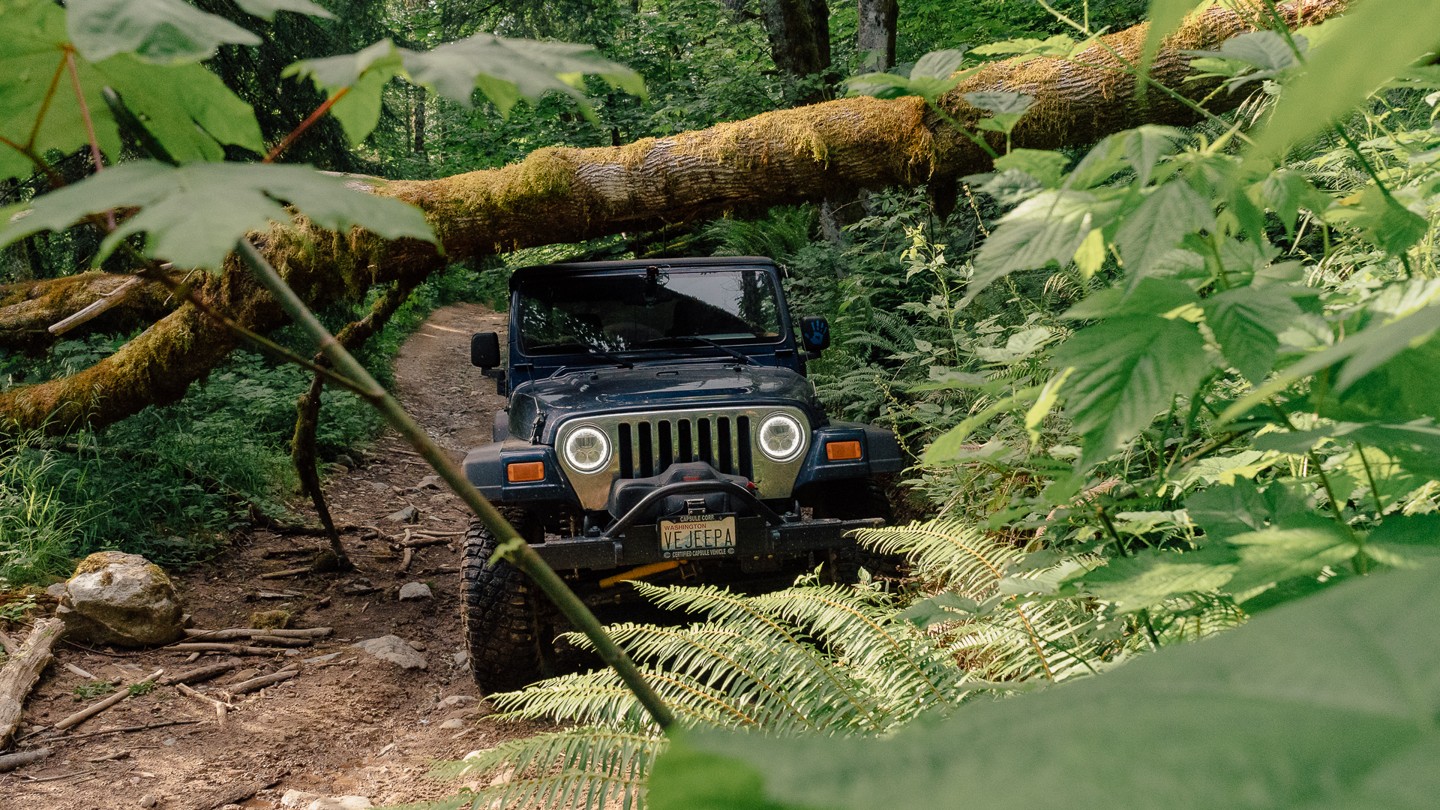 Walker Valley / Upper Mainline Washington Offroad Trail