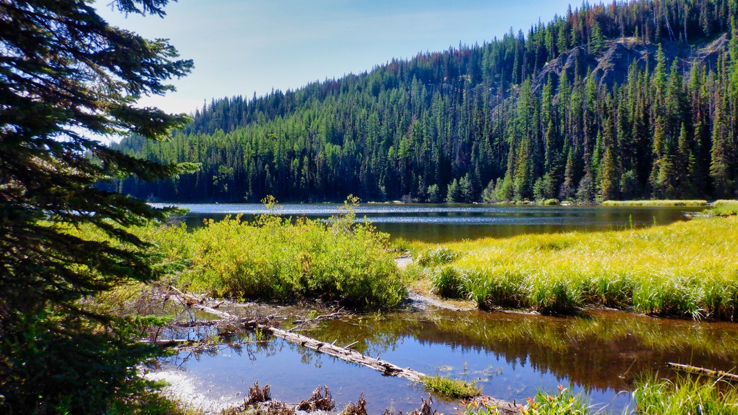 Lost Lake Washington Offroad Trail