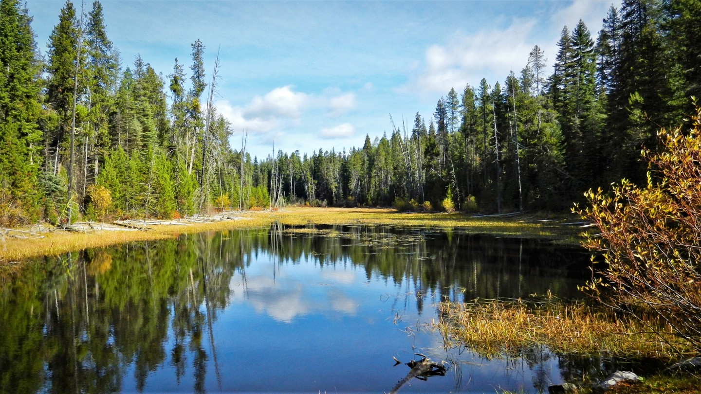 Pine Creek Meadow Idaho Offroad Trail