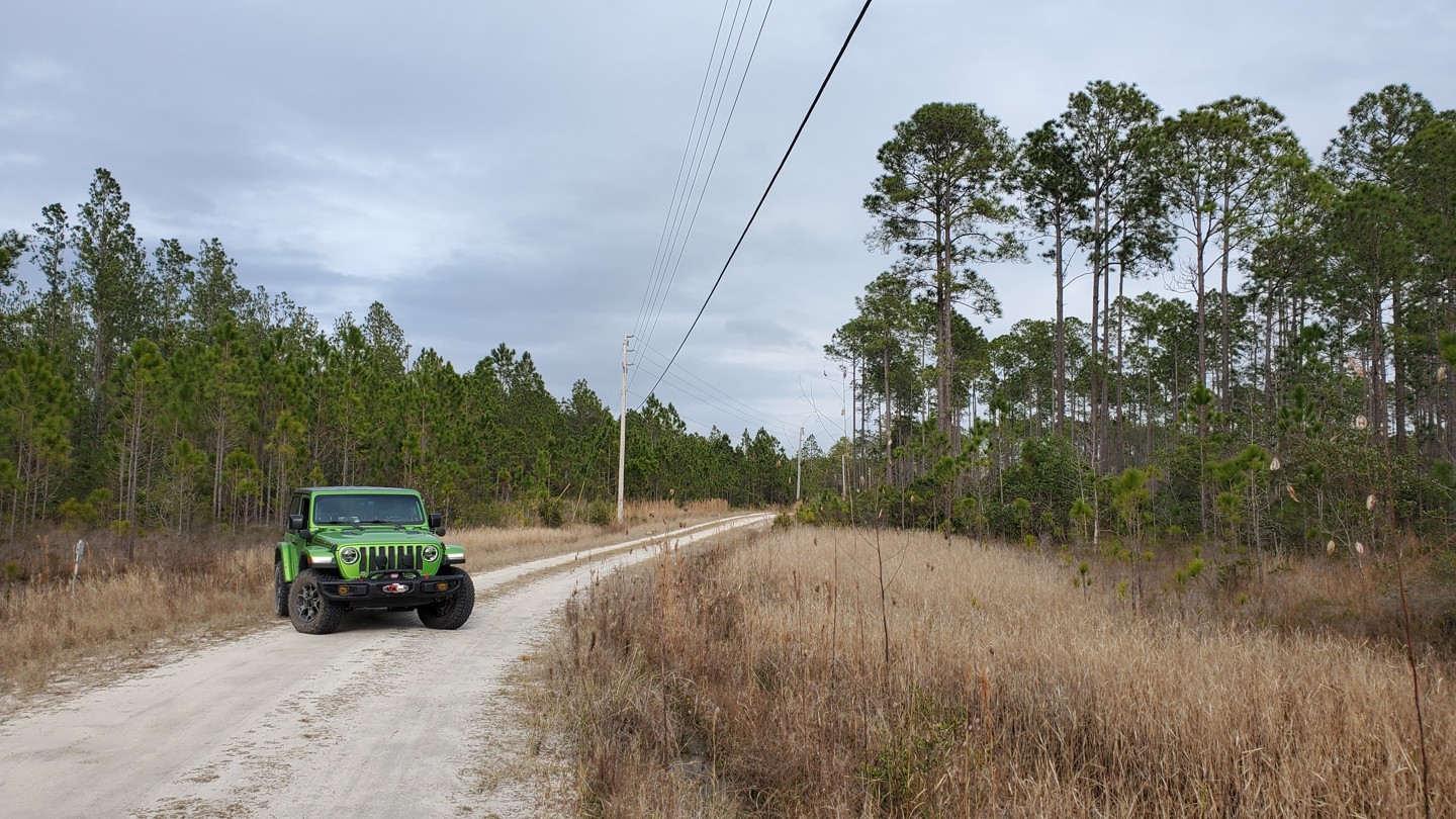 Tiger Bay State Forest Bear Island Road Florida Offroad Trail