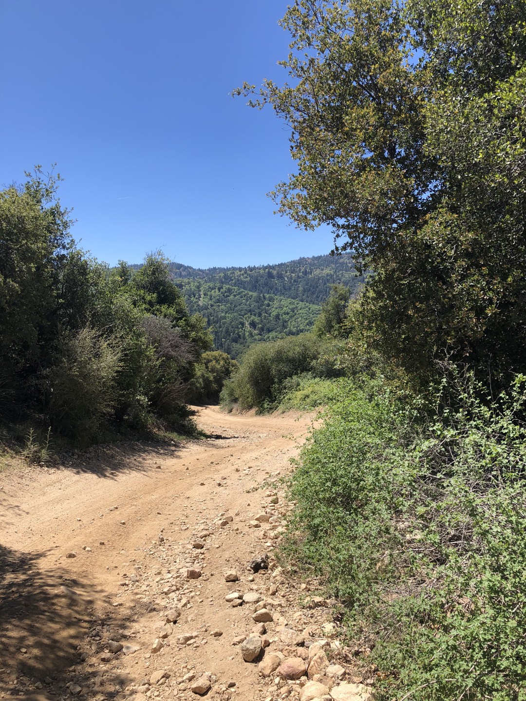 2N33 Pilot Rock Truck Trail California Offroad Trail