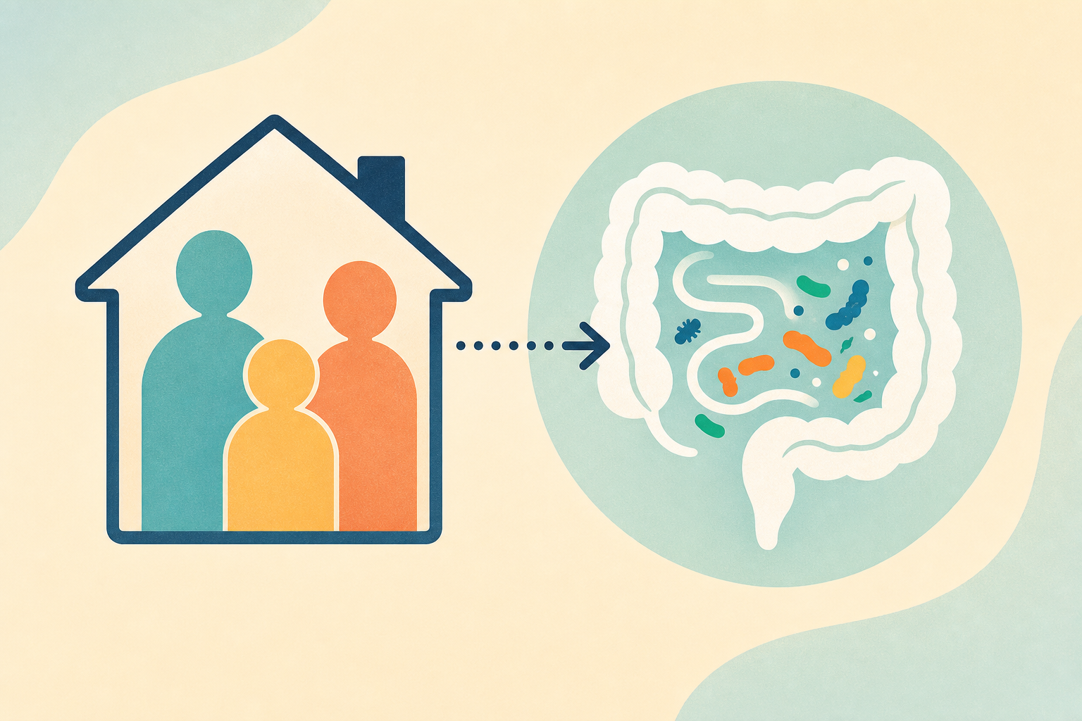Who you live with has a major impact on your gut health