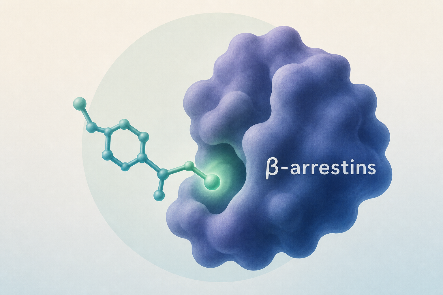 Small-molecule modulation of β-arrestins