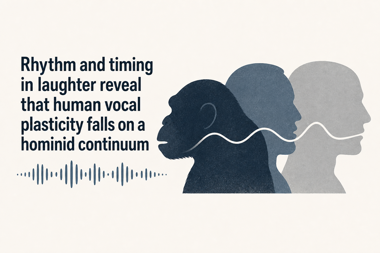 Rhythm and timing in laughter reveal that human vocal plasticity falls on a hominid continuum