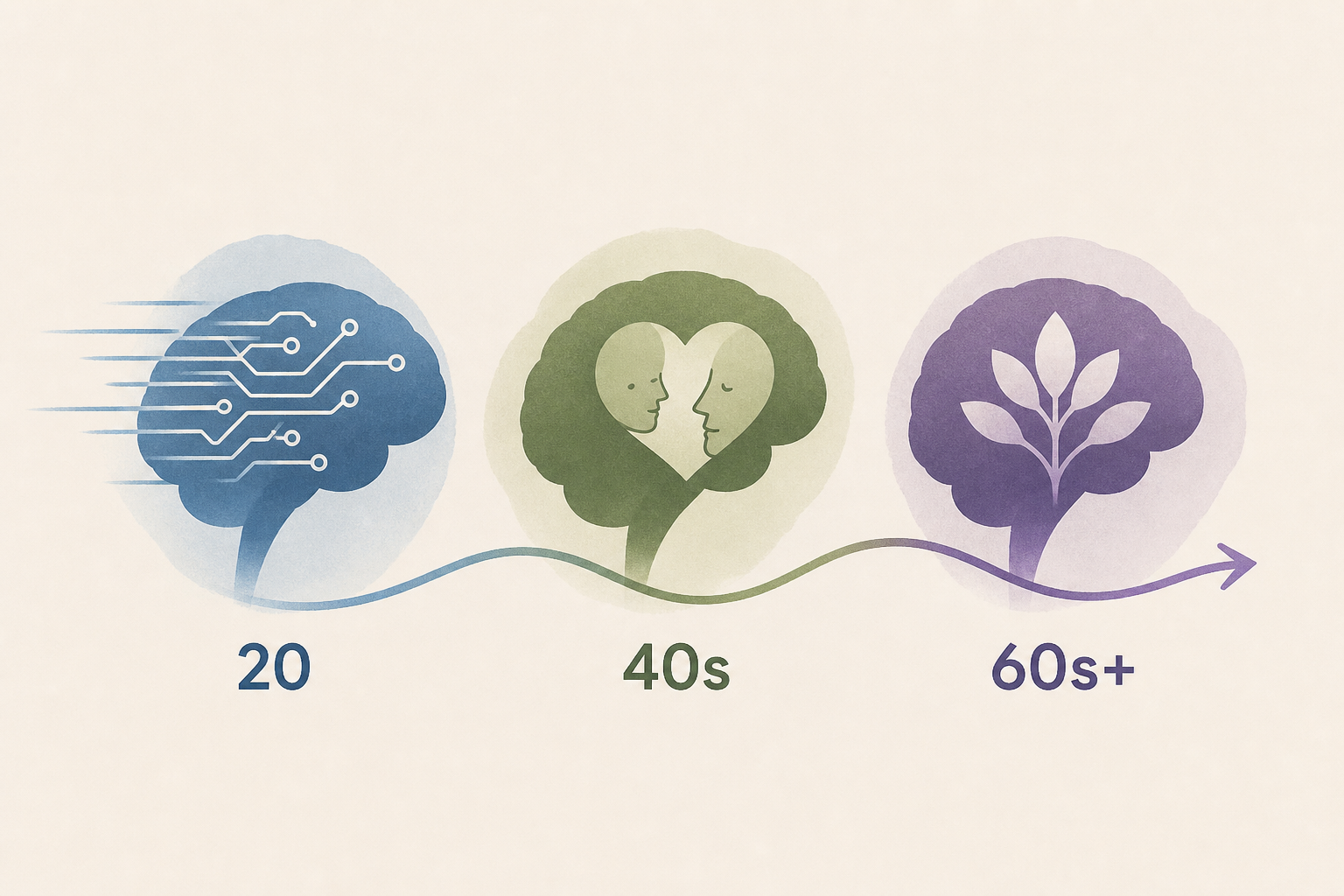 At twenty, the brain processes information faster than it ever will again. In middle age, the same brain may read other people’s emotions more accurately than it ever has. By the late sixties, its voc