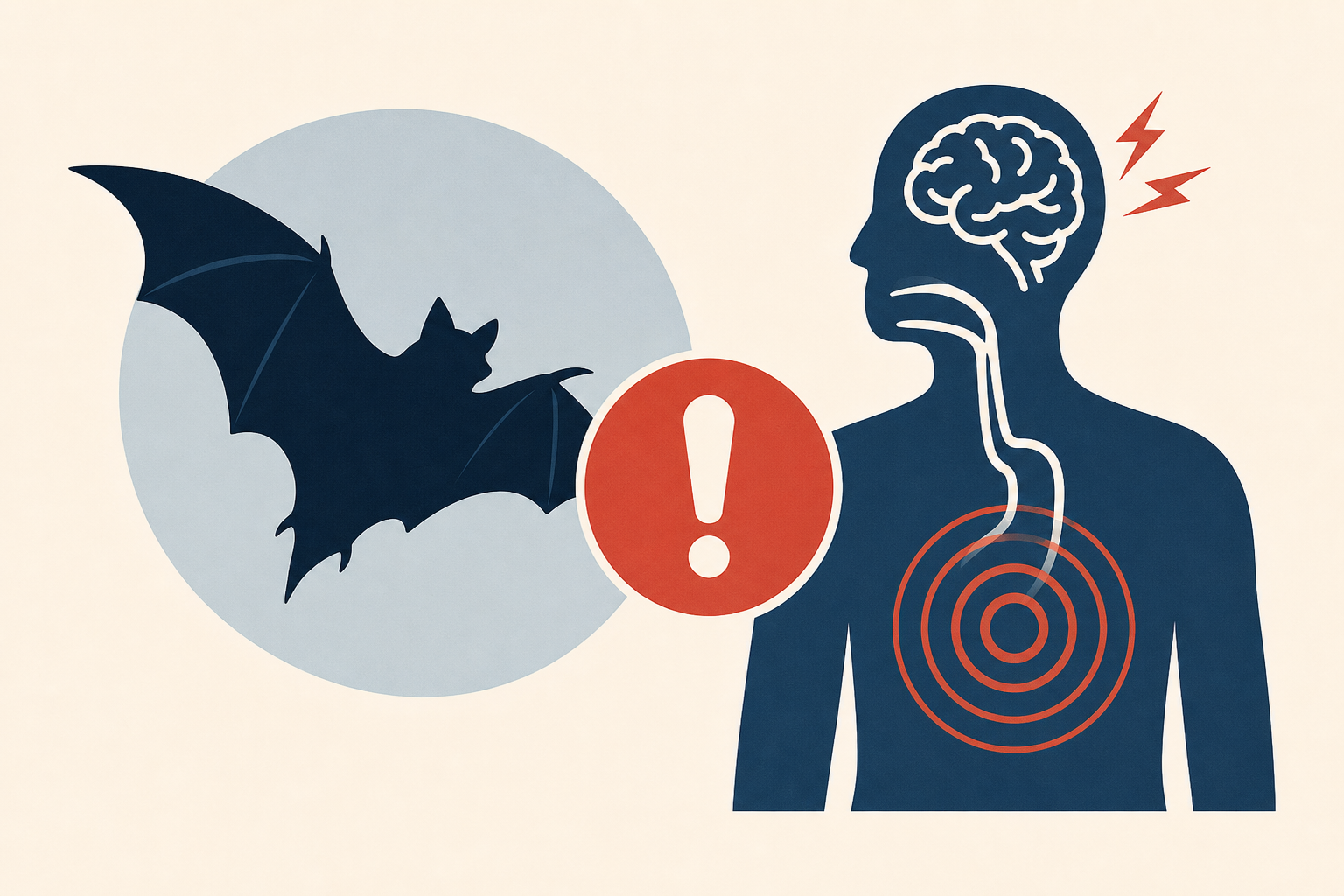 Rabid bat and human exposure confirmed in Shawano County. What are the symptoms?